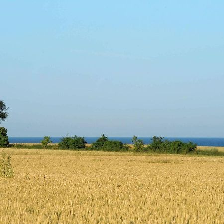14 Person Holiday Home In R Sk Bing Ærøskøbing エクステリア 写真